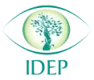 Yayasan IDEP